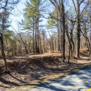Photo #8 of Trents Ferry Road, Lynchburg, VA 0.8 acres