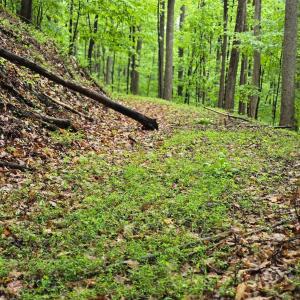 Photo #27 of TBD Audrey Lane, Montvale, VA 170.0 acres