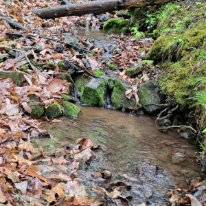 Photo #48 of TBD Audrey Lane, Montvale, VA 170.0 acres