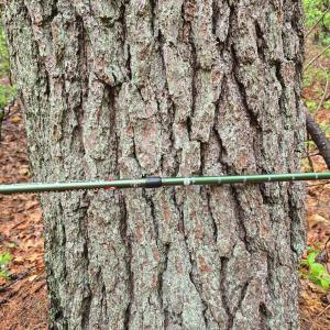 Photo #36 of TBD Audrey Lane, Montvale, VA 170.0 acres