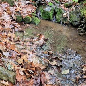 Photo #49 of TBD Audrey Lane, Montvale, VA 170.0 acres