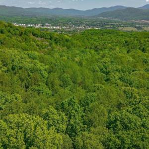 Photo #18 of TBD Audrey Lane, Montvale, VA 170.0 acres