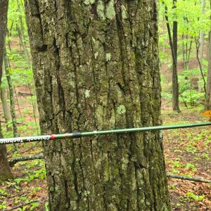 Photo #31 of TBD Audrey Lane, Montvale, VA 170.0 acres