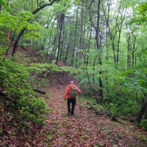 Photo #13 of TBD Audrey Lane, Montvale, VA 170.0 acres