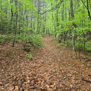 Photo #35 of TBD Audrey Lane, Montvale, VA 170.0 acres