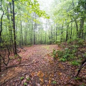 Photo #17 of TBD Audrey Lane, Montvale, VA 170.0 acres