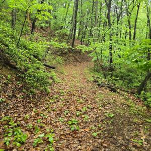 Photo #34 of TBD Audrey Lane, Montvale, VA 170.0 acres