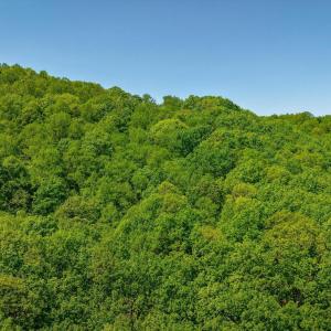 Photo #12 of TBD Audrey Lane, Montvale, VA 170.0 acres