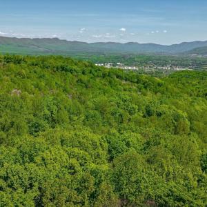 Photo #16 of TBD Audrey Lane, Montvale, VA 170.0 acres