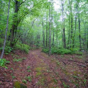 Photo #5 of TBD Audrey Lane, Montvale, VA 170.0 acres