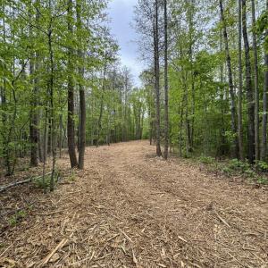 Photo #10 of Hollywood Road, Appomattox, VA 84.4 acres
