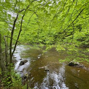 Photo #5 of Hollywood Road, Appomattox, VA 84.4 acres