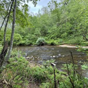 Photo #2 of Hollywood Road, Appomattox, VA 84.4 acres