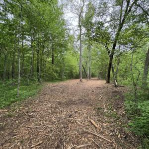 Photo #9 of Hollywood Road, Appomattox, VA 84.4 acres