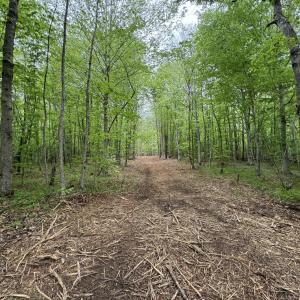 Photo #7 of Hollywood Road, Appomattox, VA 84.4 acres