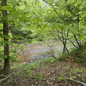 Photo #6 of Hollywood Road, Appomattox, VA 84.4 acres
