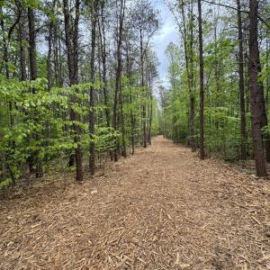 Photo #4 of Hollywood Road, Appomattox, VA 84.4 acres