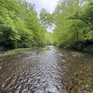 Photo #1 of Hollywood Road, Appomattox, VA 84.4 acres