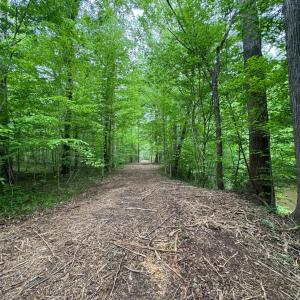 Photo #8 of Hollywood Road, Appomattox, VA 84.4 acres