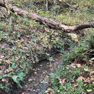 Photo #4 of 3101 Cody Road, Nathalie, VA 17.8 acres