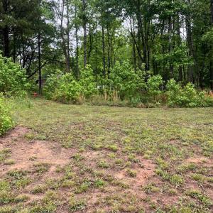 Photo #8 of 3101 Cody Road, Nathalie, VA 17.8 acres