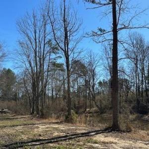 Photo #5 of 3101 Cody Road, Nathalie, VA 17.8 acres