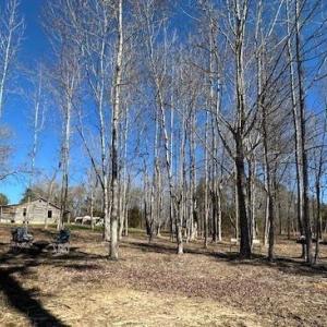 Photo #2 of 3101 Cody Road, Nathalie, VA 17.8 acres