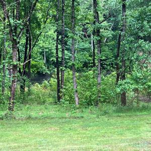 Photo #10 of 3101 Cody Road, Nathalie, VA 17.8 acres