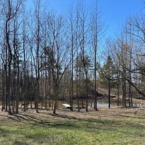 Photo #6 of 3101 Cody Road, Nathalie, VA 17.8 acres