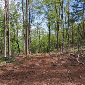 Photo #8 of Robinson Gap Road, Monroe, VA 102.1 acres