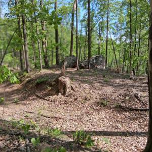 Photo #28 of Robinson Gap Road, Monroe, VA 102.1 acres