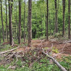 Photo #5 of Robinson Gap Road, Monroe, VA 102.1 acres