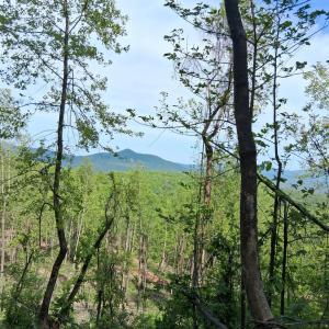 Photo #15 of Robinson Gap Road, Monroe, VA 102.1 acres