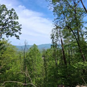 Photo #13 of Robinson Gap Road, Monroe, VA 102.1 acres