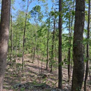 Photo #34 of Robinson Gap Road, Monroe, VA 102.1 acres