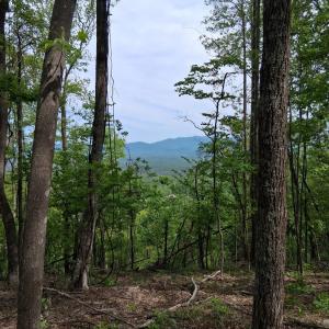 Photo #6 of Robinson Gap Road, Monroe, VA 102.1 acres