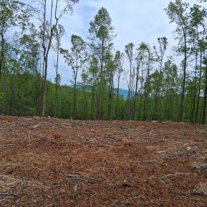 Photo #19 of Robinson Gap Road, Monroe, VA 102.1 acres