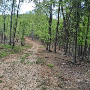 Photo #2 of Robinson Gap Road, Monroe, VA 102.1 acres