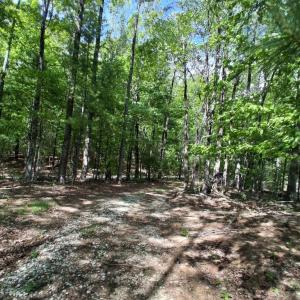 Photo #22 of Robinson Gap Road, Monroe, VA 102.1 acres