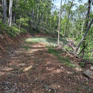 Photo #12 of Robinson Gap Road, Monroe, VA 102.1 acres