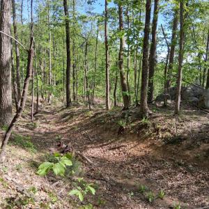 Photo #29 of Robinson Gap Road, Monroe, VA 102.1 acres