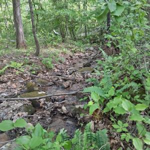 Photo #44 of Robinson Gap Road, Monroe, VA 102.1 acres