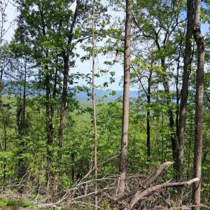 Photo #10 of Robinson Gap Road, Monroe, VA 102.1 acres