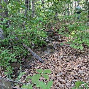 Photo #39 of Robinson Gap Road, Monroe, VA 102.1 acres