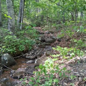 Photo #3 of Robinson Gap Road, Monroe, VA 102.1 acres