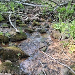 Photo #43 of Robinson Gap Road, Monroe, VA 102.1 acres