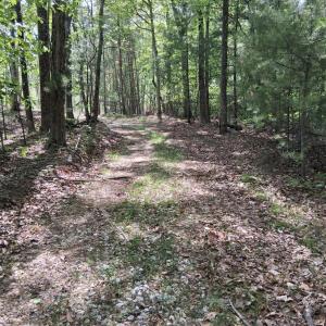 Photo #23 of Robinson Gap Road, Monroe, VA 102.1 acres