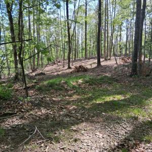 Photo #25 of Robinson Gap Road, Monroe, VA 102.1 acres