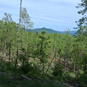 Photo #16 of Robinson Gap Road, Monroe, VA 102.1 acres