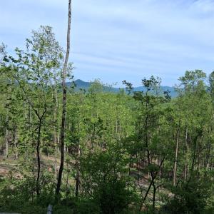 Photo #14 of Robinson Gap Road, Monroe, VA 102.1 acres